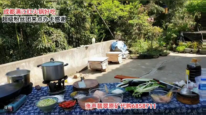 带水友一起上山做饭(≧ω≦)/ 2020-04-15 15点场
