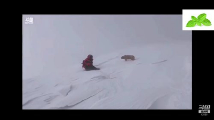 纪实直播38天理塘到拉萨，芒康等叶子 2020-04-25 08点场