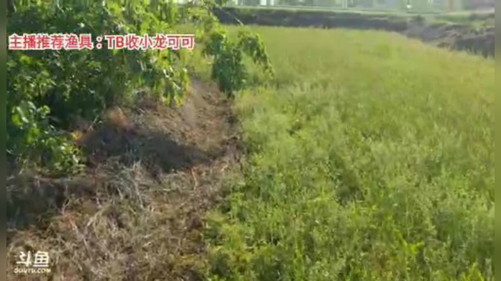 十一郎君01发布了一个斗鱼视频2020-04-25