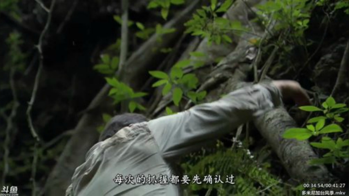 户外遛狗王飞哥发布了一个斗鱼视频2020-04-26