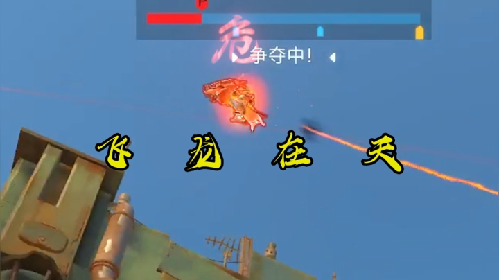 【小金猪】飞 龙 在 天