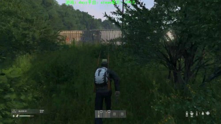 dayz 末日中一个迷路小蓝孩 2020-04-26 17点场