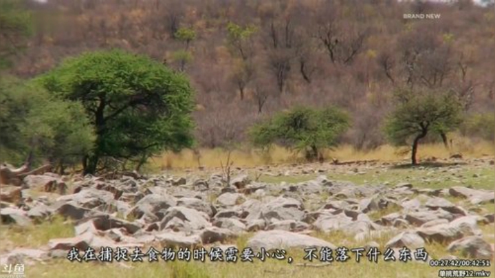 静思世语发布了一个斗鱼视频2020-04-26