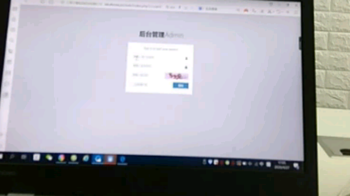 20190531 现场对比试验(干粉复燃 vs 水星瞬灭)