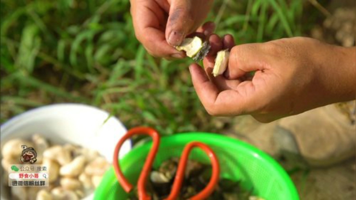 我在斗鱼看野食小哥直播美食