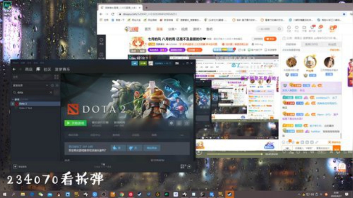 我在斗鱼看菠萝赛东直播二次元