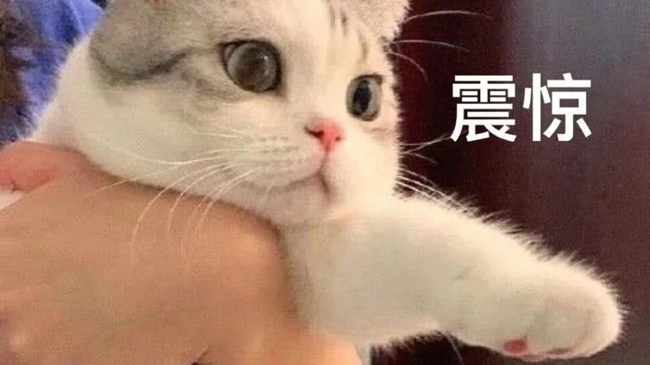 快落7