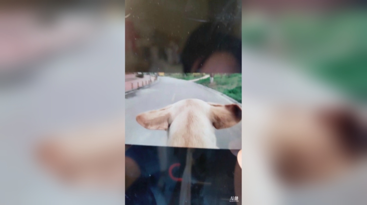 登月团丶离去发布了一个斗鱼视频2020-04-28
