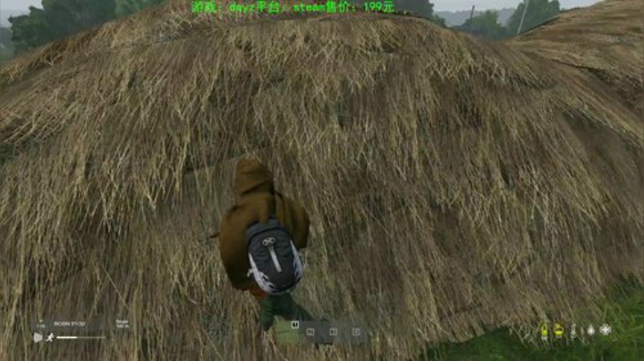dayz 末日中一个迷路小蓝孩 2020-04-28 19点场