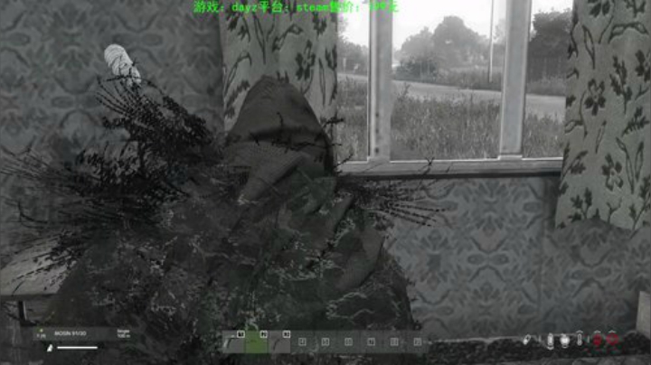 dayz 末日中一个迷路小蓝孩 2020-04-27 21点场