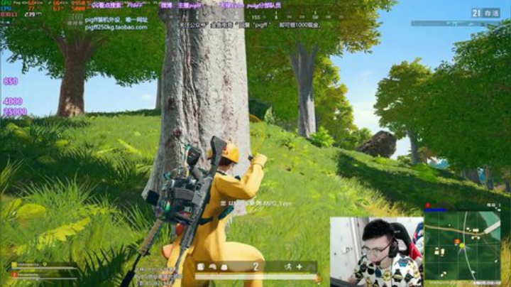 我在斗鱼看pigff直播绝地求生