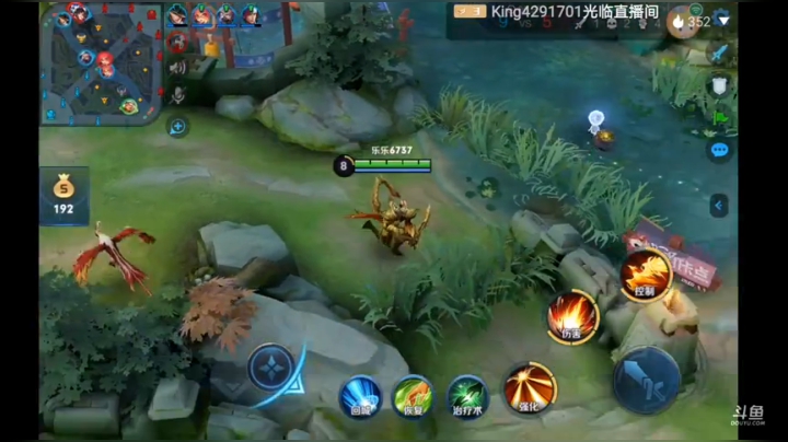 下路赵云