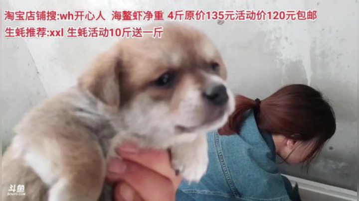 西北老狼哥哥发布了一个斗鱼视频2020-04-30