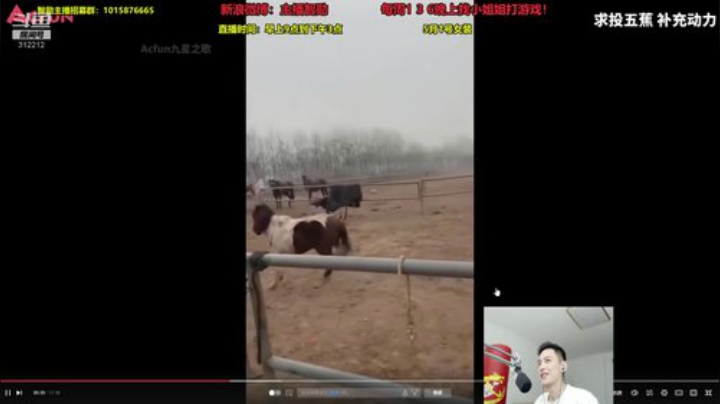 我在斗鱼看智勋勋勋勋直播英雄联盟