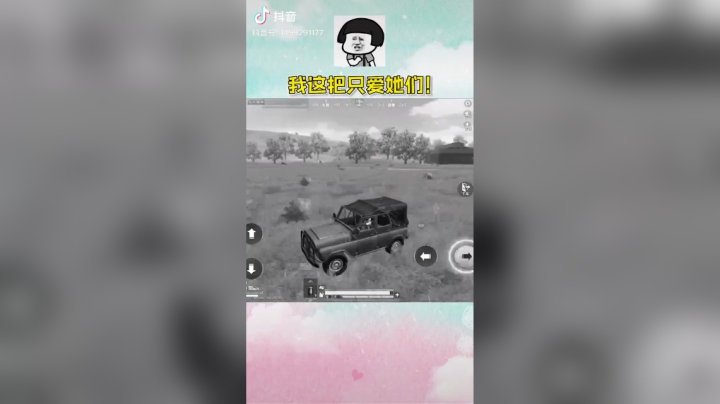 老乡见老乡，两眼泪汪汪，这就是我和妹子的缘分！#和平精英#硬