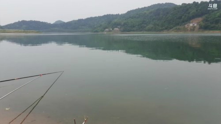 讲个笑话魅力水库钓鱼 2020-04-30 10点场