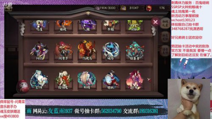 鱼丸斗技随意搞搞~ 2020-04-29 21点场