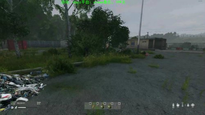 dayz 末日中一个迷路小蓝孩 2020-04-29 18点场