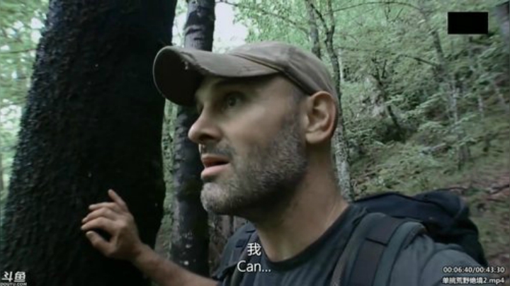 户外遛狗王飞哥发布了一个斗鱼视频2020-04-30