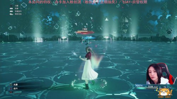 FF7二周目困难 2020-04-27 00点场