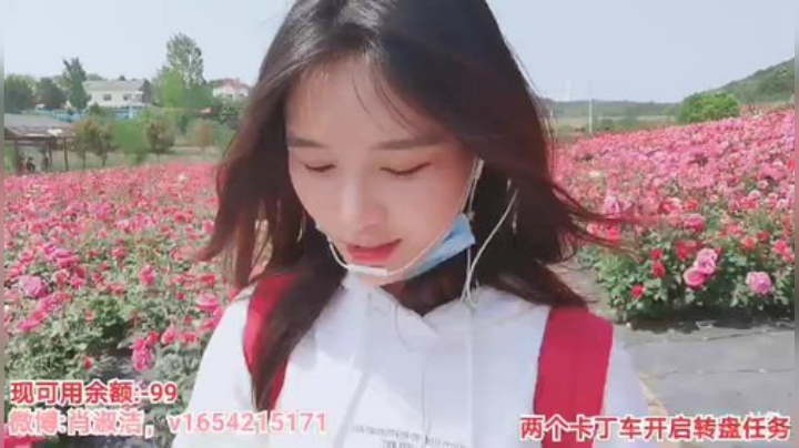 姑姑:户外流浪36小时不关播 2020-04-28 13点场