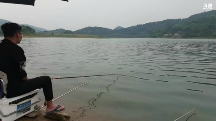 讲个笑话魅力水库钓鱼 2020-04-30 12点场