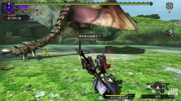 NSMHGU，开开荒联联机 2020-04-29 14点场