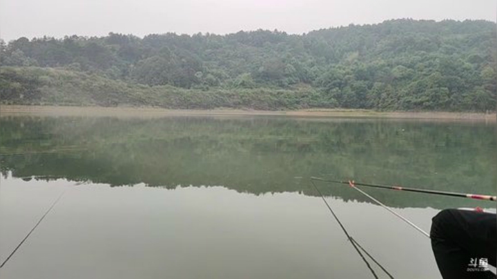 讲个笑话魅力水库钓鱼 2020-04-30 16点场