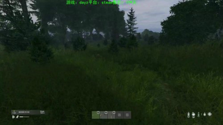 dayz 末日中一个迷路小蓝孩 2020-04-29 20点场