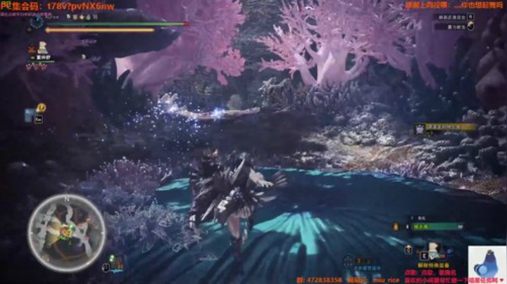 【MHWI】萌新弓初见王溟波八分台+溟波幻化装备一览