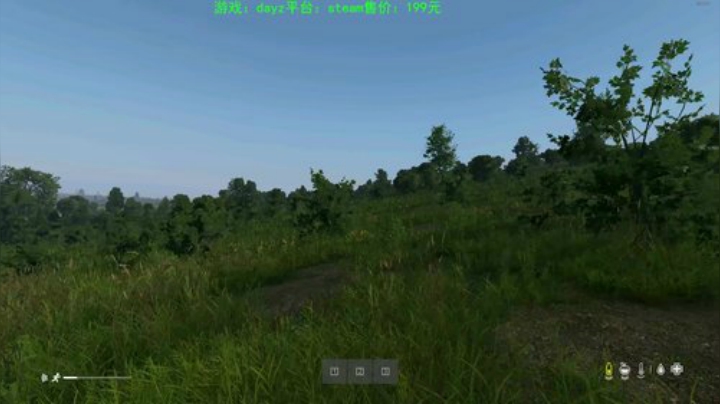 dayz 末日中一个迷路小蓝孩 2020-04-30 00点场