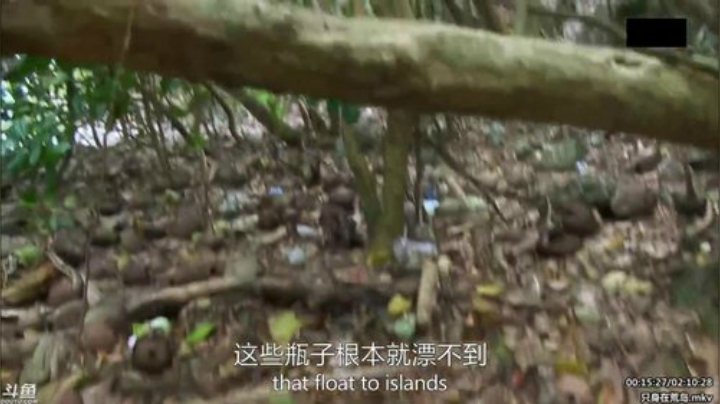 护法惊丶发布了一个斗鱼视频2020-05-01