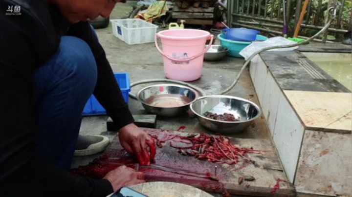 准备食材迎接水友们 2020-05-01 09点场