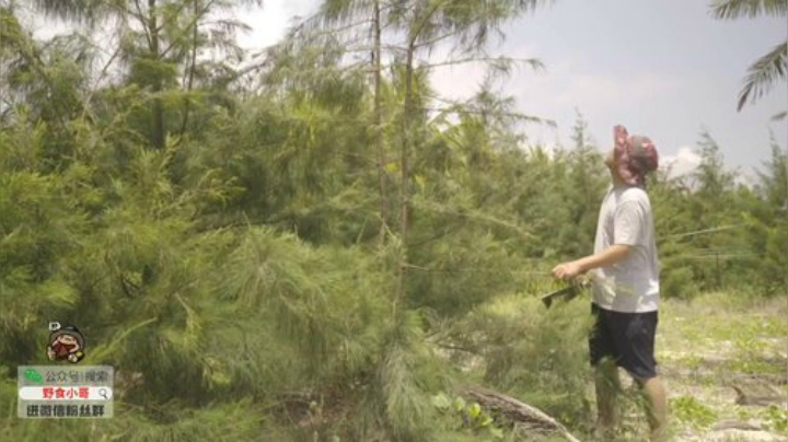 我在斗鱼看野食小哥直播美食