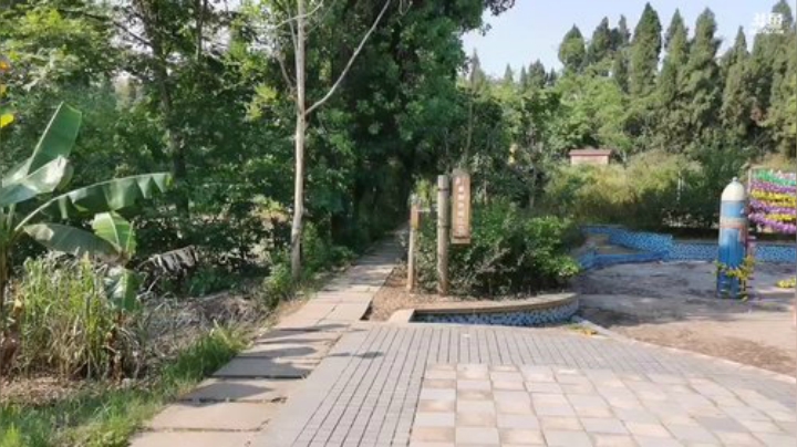 劳动节当然得劳动！ 2020-05-02 15点场