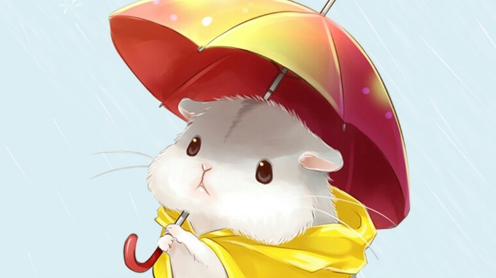 五杀