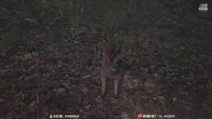 【霸霸】一人一狗吓死你！ 2020-05-01 22点场