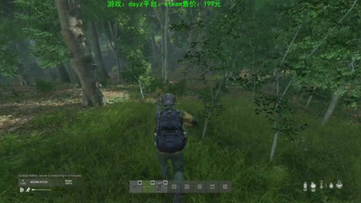 dayz 末日中一个迷路小蓝孩 2020-05-01 18点场