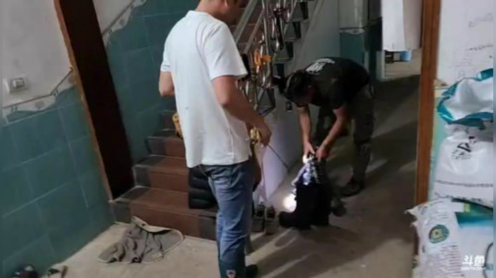 兄弟们！劳动节快乐 2020-05-01 20点场