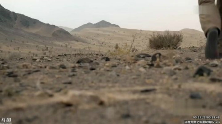 户外遛狗王飞哥发布了一个斗鱼视频2020-05-03