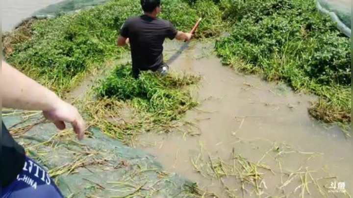 兄弟们！劳动节快乐 2020-05-02 13点场