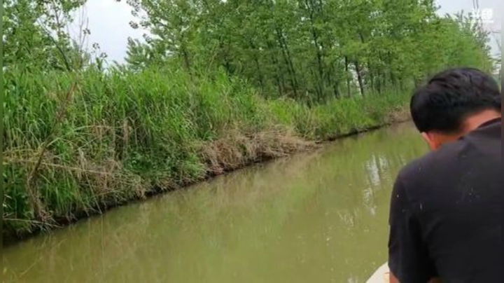 钓鱼我们是认真的 447507 2020-04-30 12点场