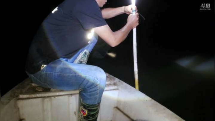 老板们，该劳动啦！ 2020-05-02 19点场