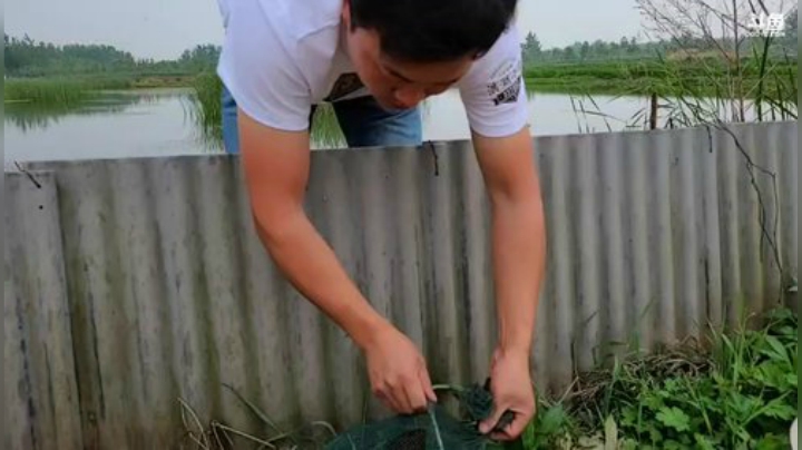 钓鱼我们是认真的 447507 2020-04-30 16点场