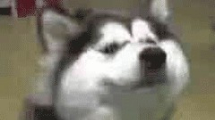 录像