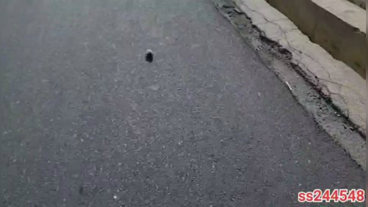 纪实直播:理塘到拉萨第41天→梅里雪山 2020-05-04 16点场