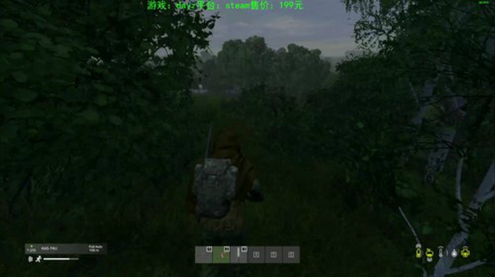 dayz 末日中一个迷路小蓝孩 2020-05-03 18点场