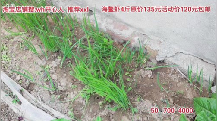 科头溜子发布了一个斗鱼视频2020-05-04