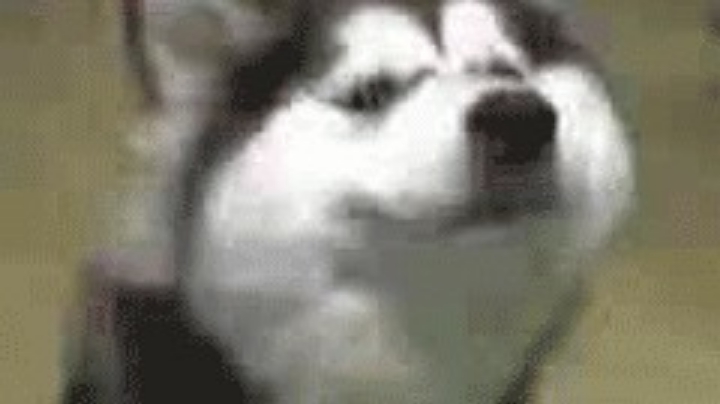 未命名