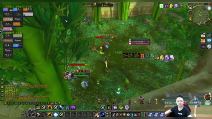 魔兽世界怀旧服：部落打本真的难！被老虎BOS灭散的团，了解一